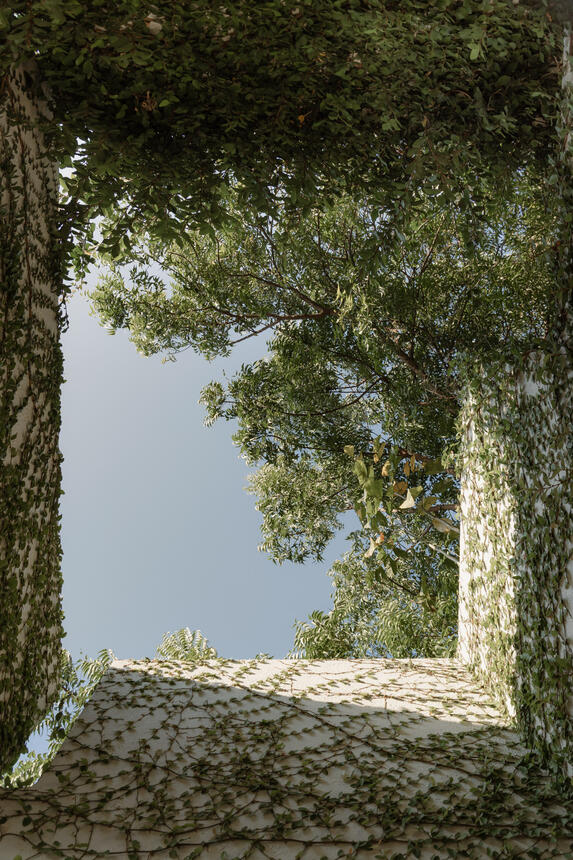 View of the sky from inside the mausoleum