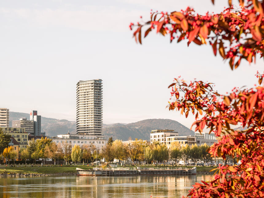 Bruckner Tower & Anton Bruckner International School Linz (AT)