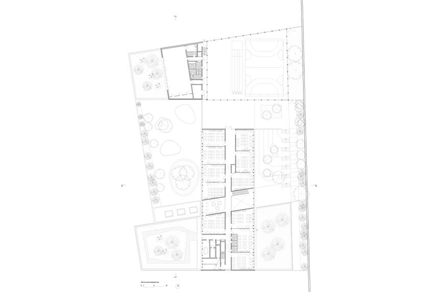 Alice Guy public school