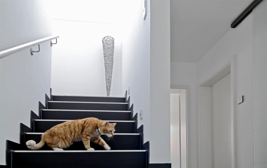 architect footage